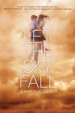 let-the-sky-fall